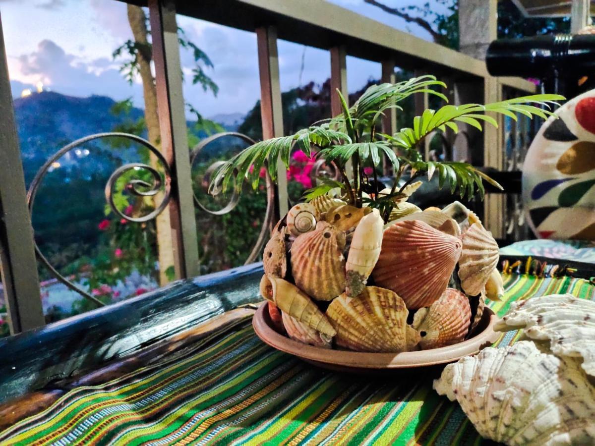 Purple Homestay Hillside Coron Exterior foto