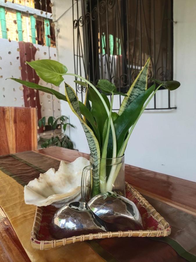 Purple Homestay Hillside Coron Exterior foto